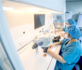 取卵过程痛苦吗