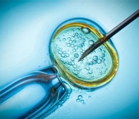 烯丙雌醇片对胎儿性别无影响，网传能使男胎女性化不可信